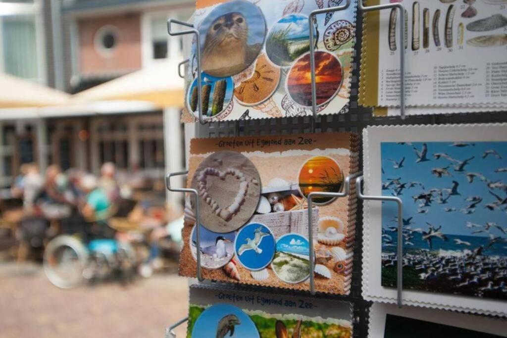 Gastenverblijf Janssen In Schagen Exterior foto